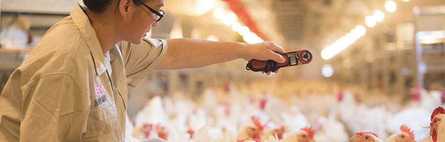 首页-RG皇家视讯厅真人官方网站