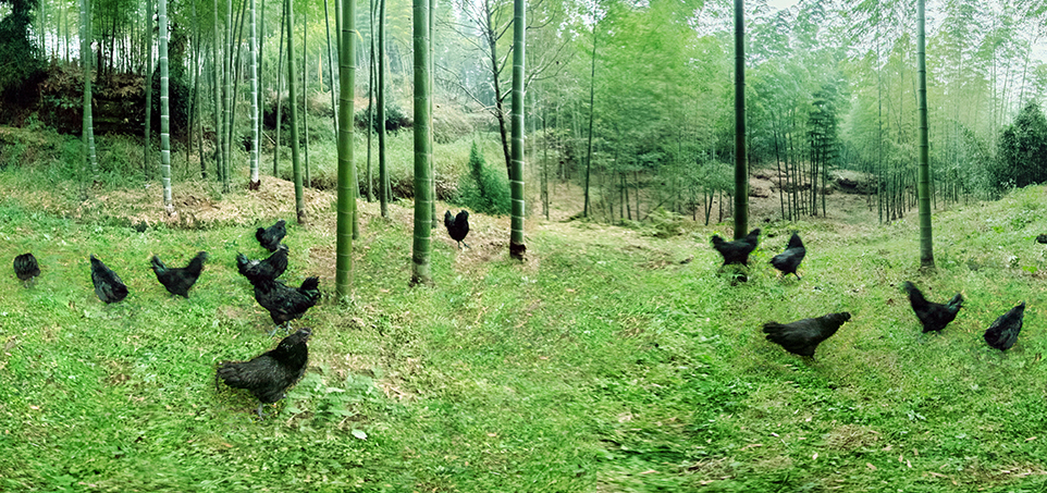 首页-RG皇家视讯厅真人官方网站