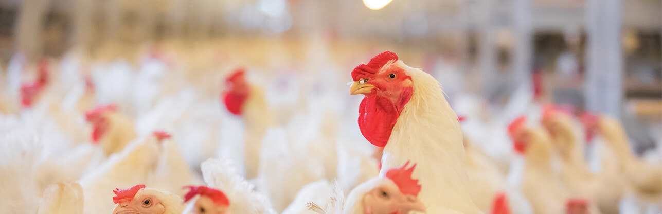 首页-RG皇家视讯厅真人官方网站