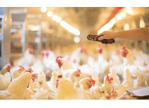 首页-RG皇家视讯厅真人官方网站