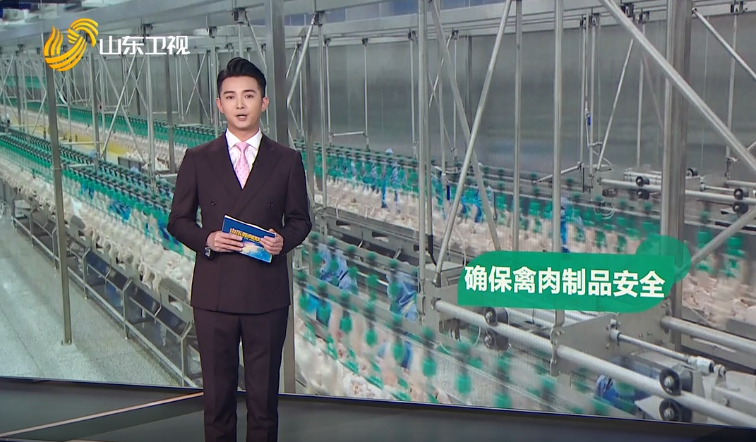 首页-RG皇家视讯厅真人官方网站