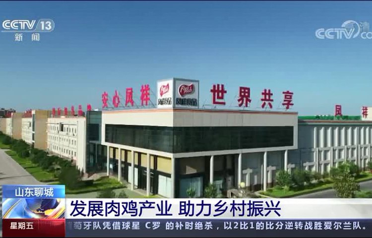 首页-RG皇家视讯厅真人官方网站