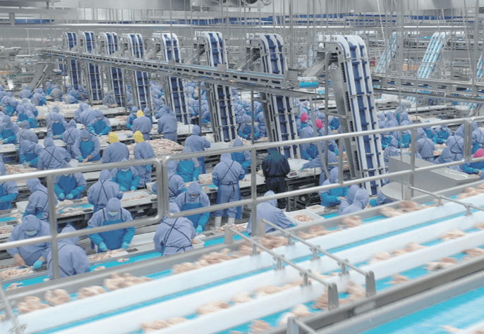 首页-RG皇家视讯厅真人官方网站