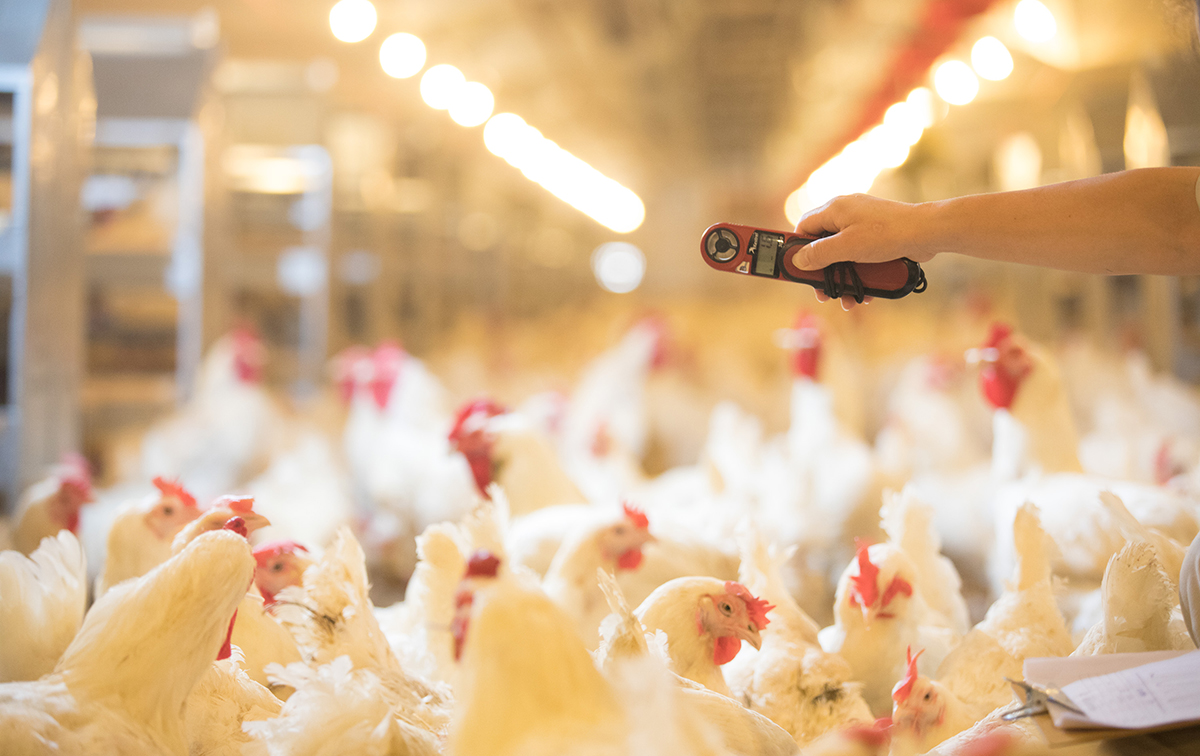 首页-RG皇家视讯厅真人官方网站