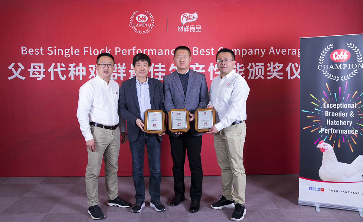 首页-RG皇家视讯厅真人官方网站